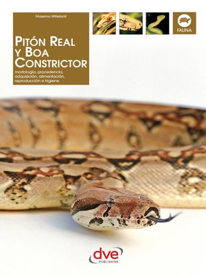 cover image of Pitón real y boa constrictor
